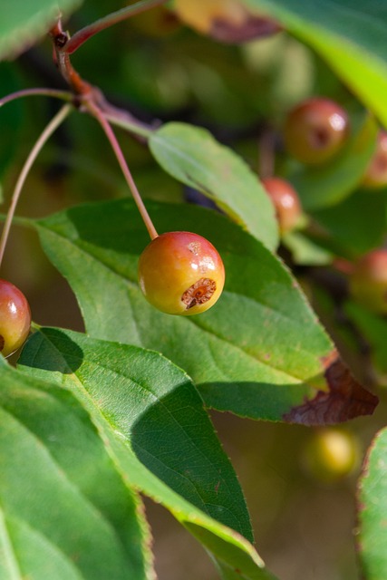 训系统著称 训系统著称