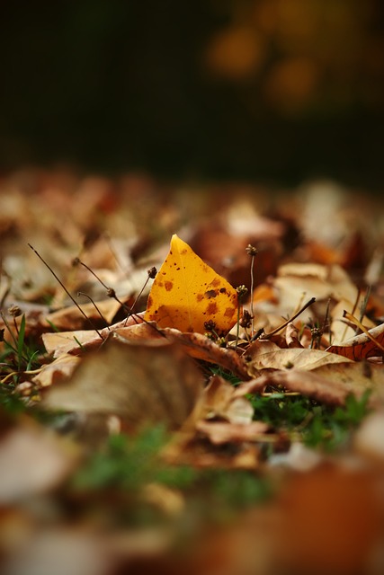 球找到对方 球找到对方