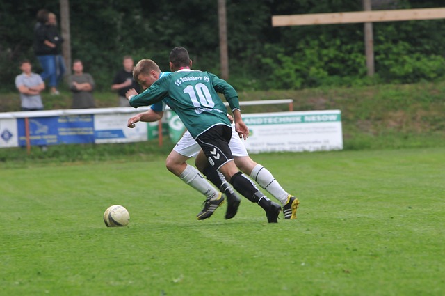 都将倾尽全 都将倾尽全