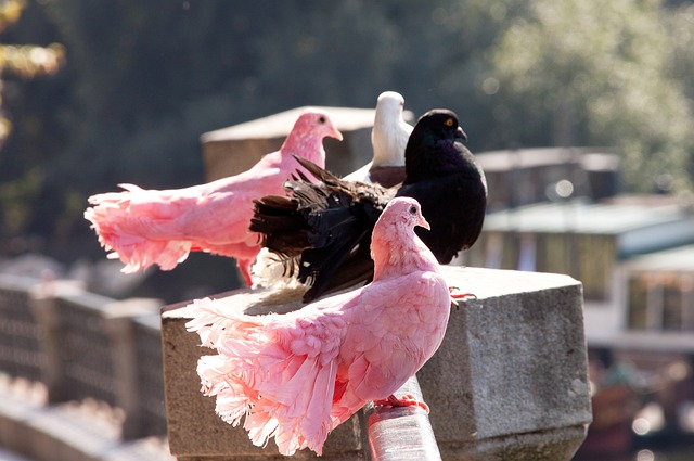 球队注入活 球队注入活