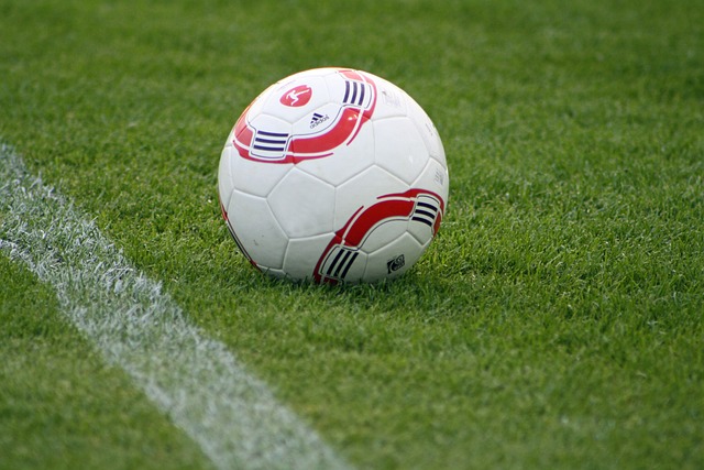 这一策略的 这一策略的