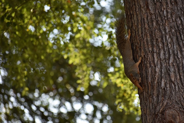 A对决中 A对决中