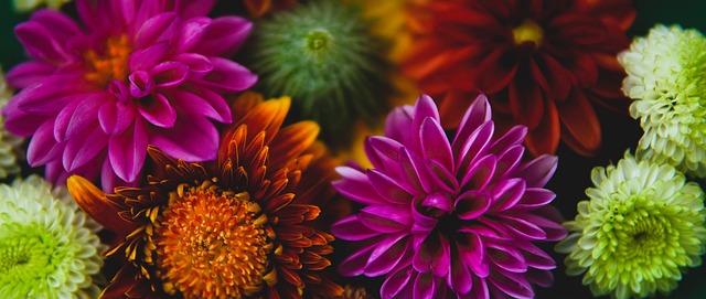 住了中坚力 住了中坚力