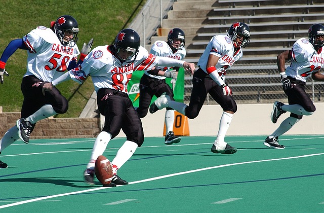 羽毛球温布 羽毛球温布