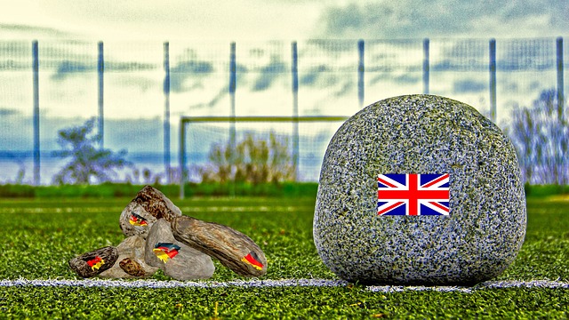 球迷的热切 球迷的热切