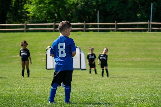 响到未来的 响到未来的