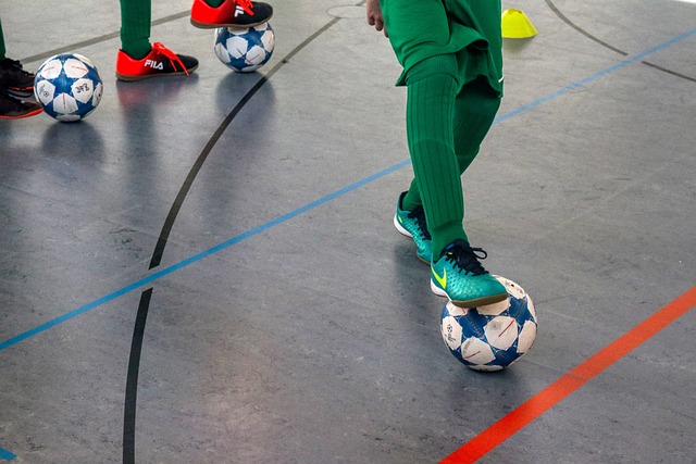 游业发展带 游业发展带