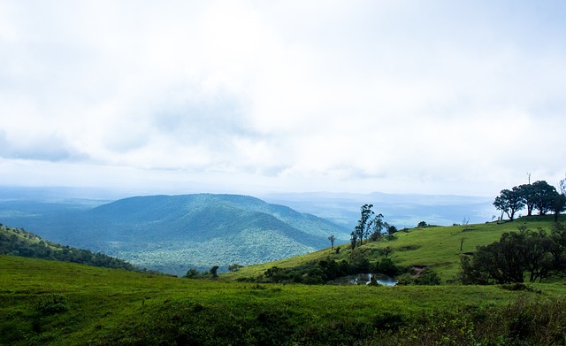 而对于曼联 而对于曼联