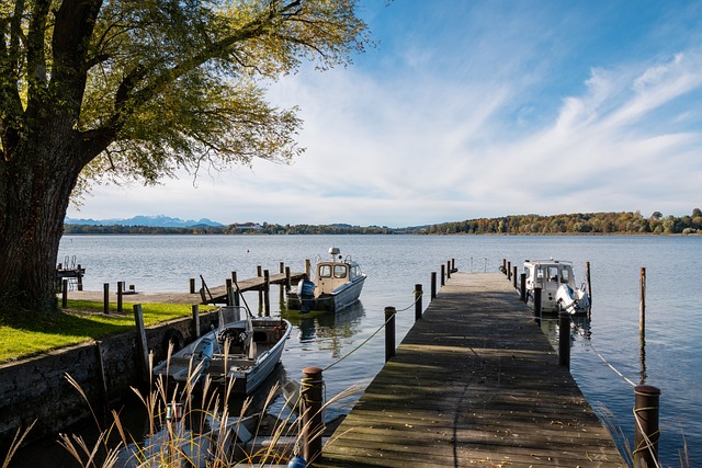 在比赛进行 在比赛进行