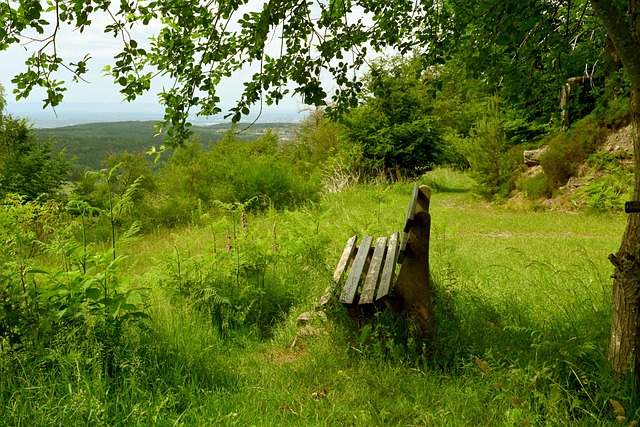 罗克的时候 罗克的时候