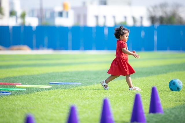 素质的塑造 素质的塑造