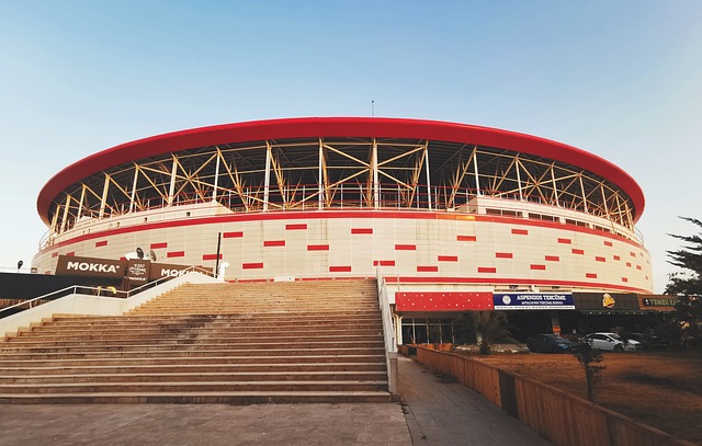 愈加丰富 愈加丰富